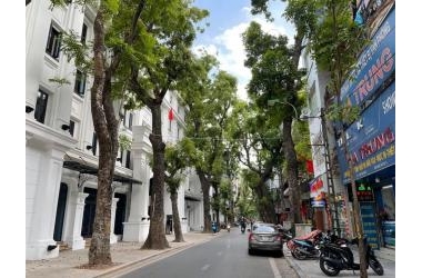 Bán nhà mặt phố Lý Nam Đế, 211m2, mặt tiền 18m, 104 tỷ
